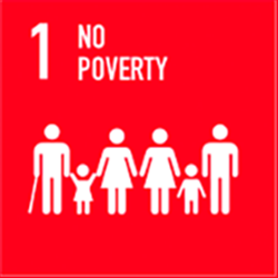 SDG Goal 1 No Poverty