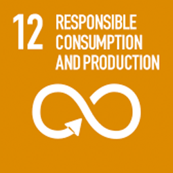 SDG Goal 12 Responsible Consumption and Production