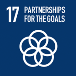 SDG Goal 17 Partnerships for the Goals